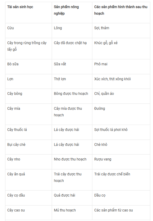 Screenshot 2024-11-23 111235.png